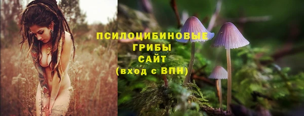 mdpv Верхний Тагил