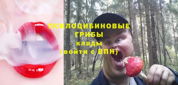 mdpv Верхний Тагил