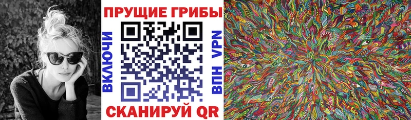 Псилоцибиновые грибы Psilocybine cubensis Нижневартовск